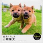 写真絵本 生まれたよ！山陰柴犬/豊哲也【写真・著】