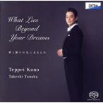  сон .... . в было использовано -What Lies Beyond Your Dreams/ река . металлический flat / рисовое поле средний .