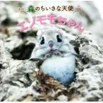  фотоальбом лес. .... ангел ezo Momo Chan / маленький ..( автор )