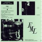 FML:Version A(Fallen, Misfit, Lost)/SEVENTEEN