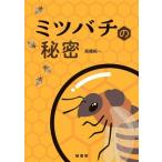 ミツバチの秘密/高橋純一(著者)