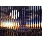 ショッピングFINAL 10TH ANNIVERSARY TOUR FINAL in YOKOHAMA ARENA (Nov.26,2023)(完全生産限定盤)(Blu-ray Disc)/BAND-MAID　