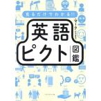 見るだけでわかる!! 英語ピクト図鑑/マーク(村木幸司)(著者)