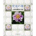 ... . большой ... поэзия документ сборник / большой ...( автор )