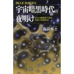 宇宙暗黒時代の夜明け 21cm線電波で迫る、宇宙138億年史 ブルーバックス/島袋隼士(著者)