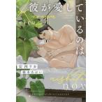 彼が愛しているのは ディアプラス文庫/安西リカ(著者),橋本あおい(イラスト)
