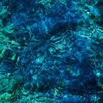 青葉市子／Ｌｕｍｉｎｅｓｃｅｎｔ　Ｃｒｅａｔｕｒｅｓ（ＣＤ）