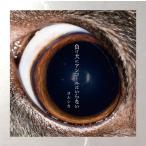 負け犬にアンコールはいらない (通常版) - 最安値・価格比較 - Yahoo