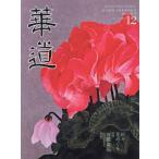 . дорога 2024 год 12 месяц номер 