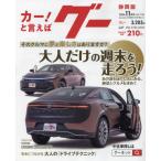 g- Shizuoka версия 2024 год 11 месяц номер 