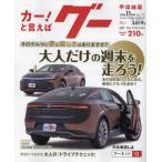 g- Koshinetsu версия 2024 год 11 месяц номер 