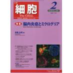  маленький .2026 год 2 месяц номер 