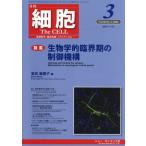  маленький .2026 год 3 месяц номер 