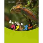あいうえおカメレオン / 増田　戻樹　文・写真