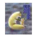 手ぶくろを買いに / 新美　南吉