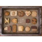 がちまい家のオーガニックな焼き菓子 / 謝花　三千代　著