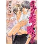 きみが恋に堕ちる / 高永　ひなこ　著