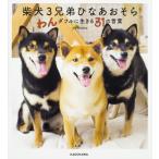 柴犬３兄弟ひなあおそら　わんダフルに生きる３１の言葉 / ｙｕ　ｍａｔｓｕ　著
