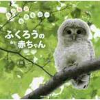 mo.......~..... младенец / большой .. один ..