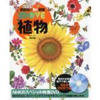植物 / 天野誠