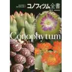 konofitsum все документ собственный ткань информация из историческое имя садоводство товар вид до /. глициния . работа 