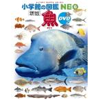  рыба новый версия DVD есть 