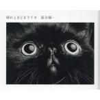 晴れときどきライカ / 落合陽一