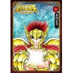 聖闘士星矢Ｆｉｎａｌ　Ｅｄｉｔｉｏｎ　１６ / 車田正美