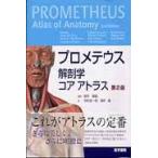  Pro mete незначительный анатомия core Atlas no. 2 версия / склон .. самец . перевод 