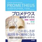  Pro mete незначительный анатомия Atlas голова . часть | нерв анатомия /mi - L *shun