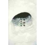 現在地 / 岡田利規／著