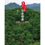 なにコレ日本奇景 / えぬびい