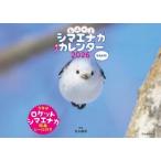 ショッピング卓上カレンダー もふっとシマエナガ卓上カレンダー２０２６ / 吉永勝啓