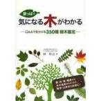  лист ... быть внимательным дерево . понимать Q&A. различает 350 вид дерево оценка /... работа 