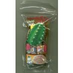 ペットボトル栽培グリーントイ　サボテン