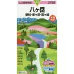 *18. штук пик ..* прекрасный штук .* туман штук ./ высота .. мужчина исследование . кисть 