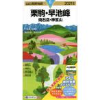 *21 каштан пешка *.... камень пик * бог . гора /. корень рисовое поле стол исследование . кисть 