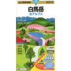  белый лошадь пик север Alps 2021 год версия / высота . правильный самец исследование . кисть 