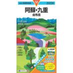 *23..* 9 -слойный / дешево восток багряник японский три исследование . кисть 