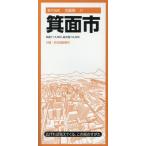 . поверхность город 