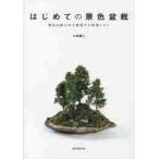  впервые .. декорации бонсай декорации . горшок. среди таблица на данный момент делать departure ..kotsu/ Kobayashi . 2 работа 
