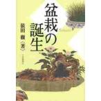  бонсай. рождение /. рисовое поле . работа 