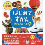 はじめてずかん　これ、な〜に？