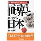  огромный блок . делать мир ... делать Япония /. правильный мир | работа 