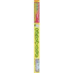 Ａ６　おふろでおぼえる　せかいちず＆こっ