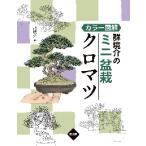  цвет иллюстрация группа ... мини бонсай черный matsu/ группа .. работа 