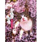 さくらねこ　猫と桜の物語 / 相沢秀仁／著　相沢京子／著