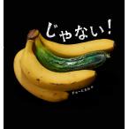 じゃない！ / チョー　ヒカル　作