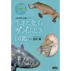  сырой .. окаменелость ..... иллюстрированная книга / север . самец один .. документ 