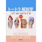  большая сумка la анатомия no. 2 версия / маленький . один история др. . перевод 